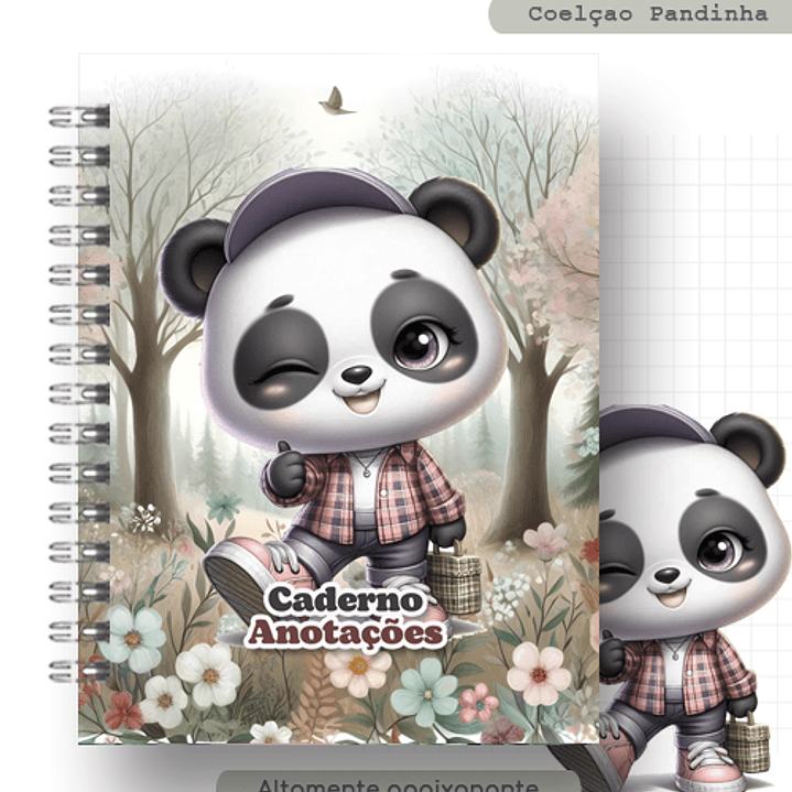 Arquivo Coleção Capas Pandinha  2