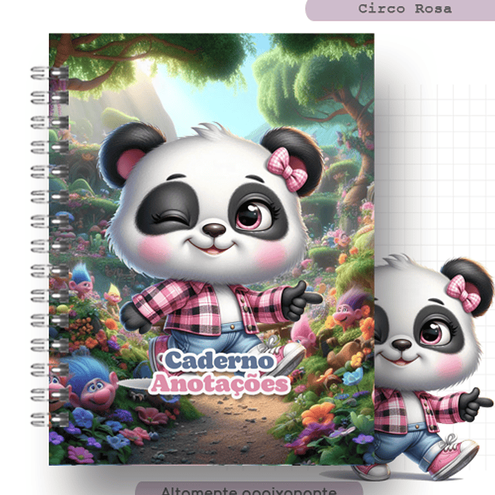 Arquivo Coleção Capas Pandinha  3