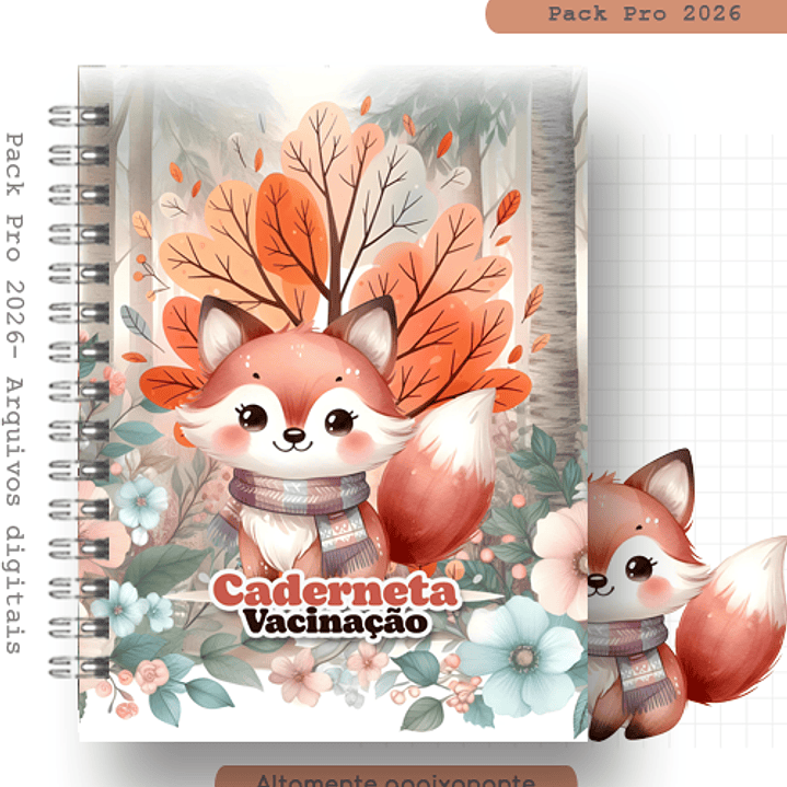 Arquivo Capa Raposinha  1