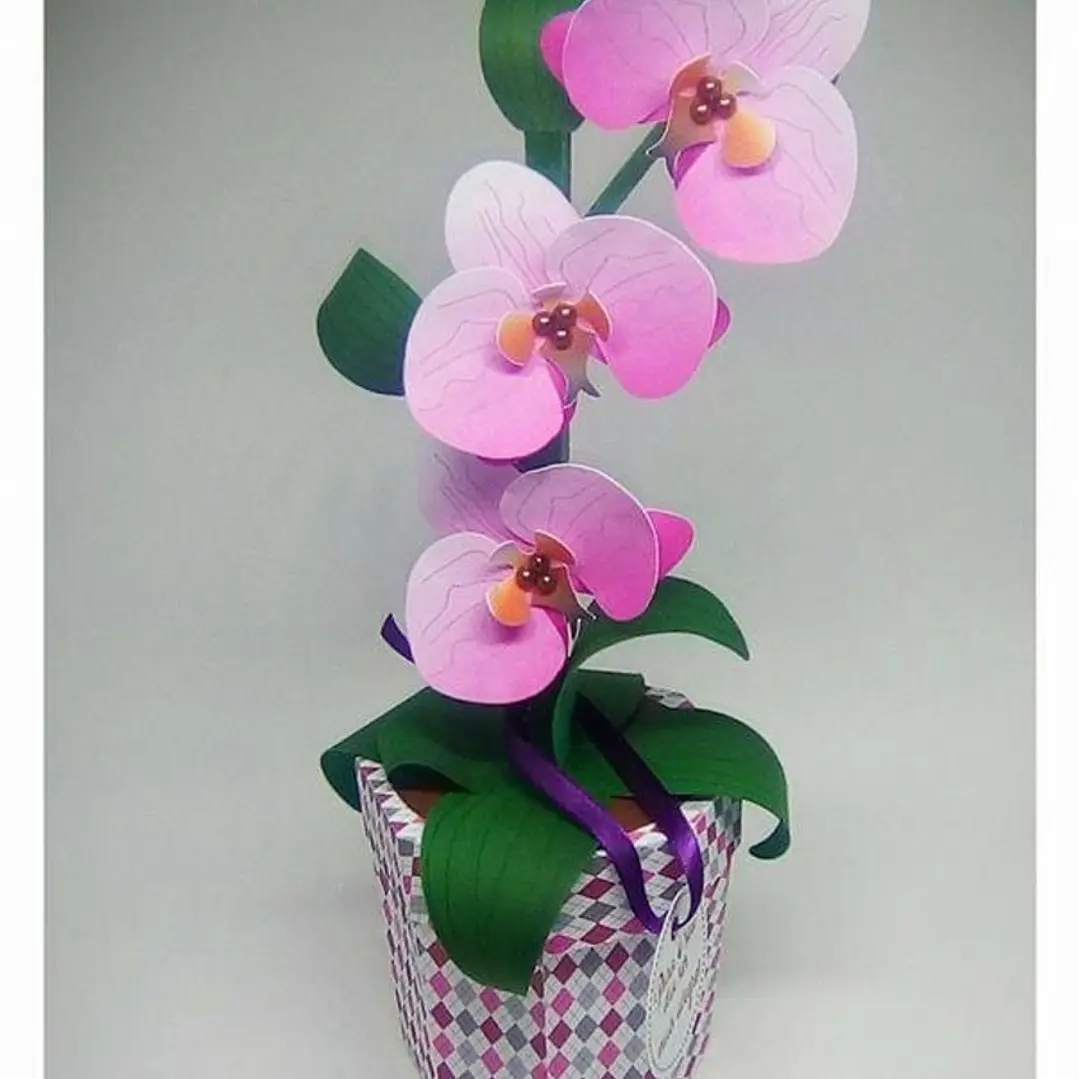 Arquivo de Corte Caixa Flor Orquidea Rosa  1