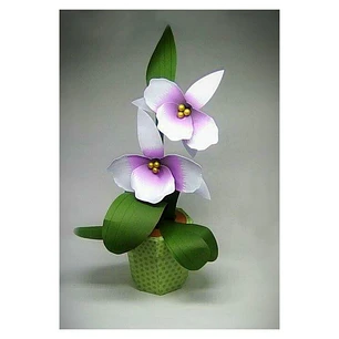 Arquivo de Corte Caixa Vaso Orquidea Cattleya