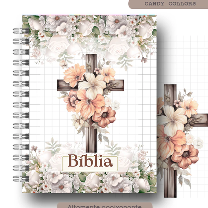 Arquivo Capa Cruz  1