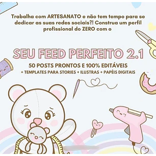 Kit Digital Seu Feed Perfeito