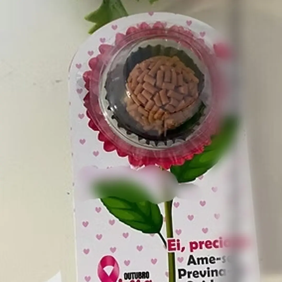 Arquivo Outubro Rosa Card Blistter 1