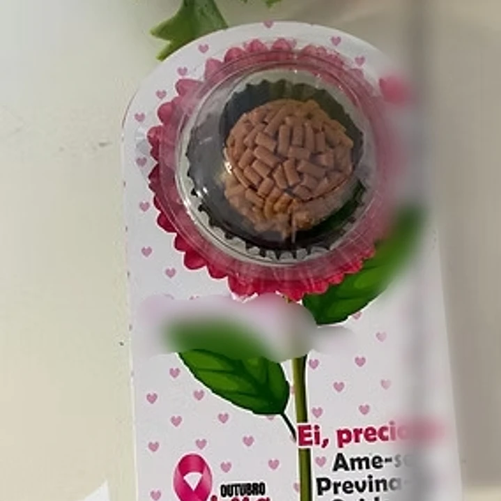 Arquivo Outubro Rosa Card Blistter 1