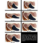 Cuadro Minimalista: ALUMBRE 5