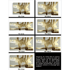 Cuadro Luxury: MARCA DORADA  5