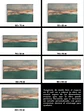 Cuadro Abstracto: PRADERA - Miniatura 5