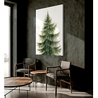 Cuadro Botánica: PINO  4