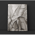 Cuadro Botánica: HOJAS DE PLATA  3