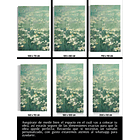 Cuadro Botánica: MANZANILLAS 5