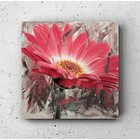 Cuadro Botánica: SAKURA 1