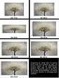 Cuadro Botánica: ÁRBOL DE LA SALUD  - Miniatura 5