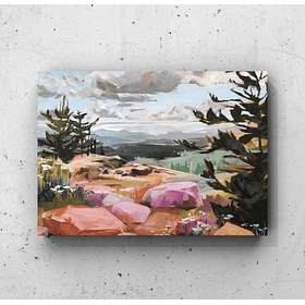 Cuadro Paisajes: MINERALES Y PAISAJE