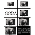 Cuadro Animales: CABALLO BLANCO  5