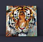 Cuadro Animales: CABEZA DE TIGRE  - Miniatura 3