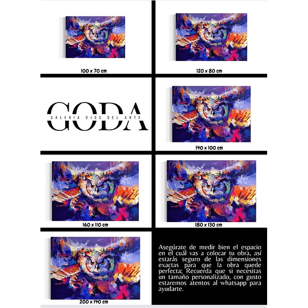 Cuadro Animales: BÚHO VOLANDO 5