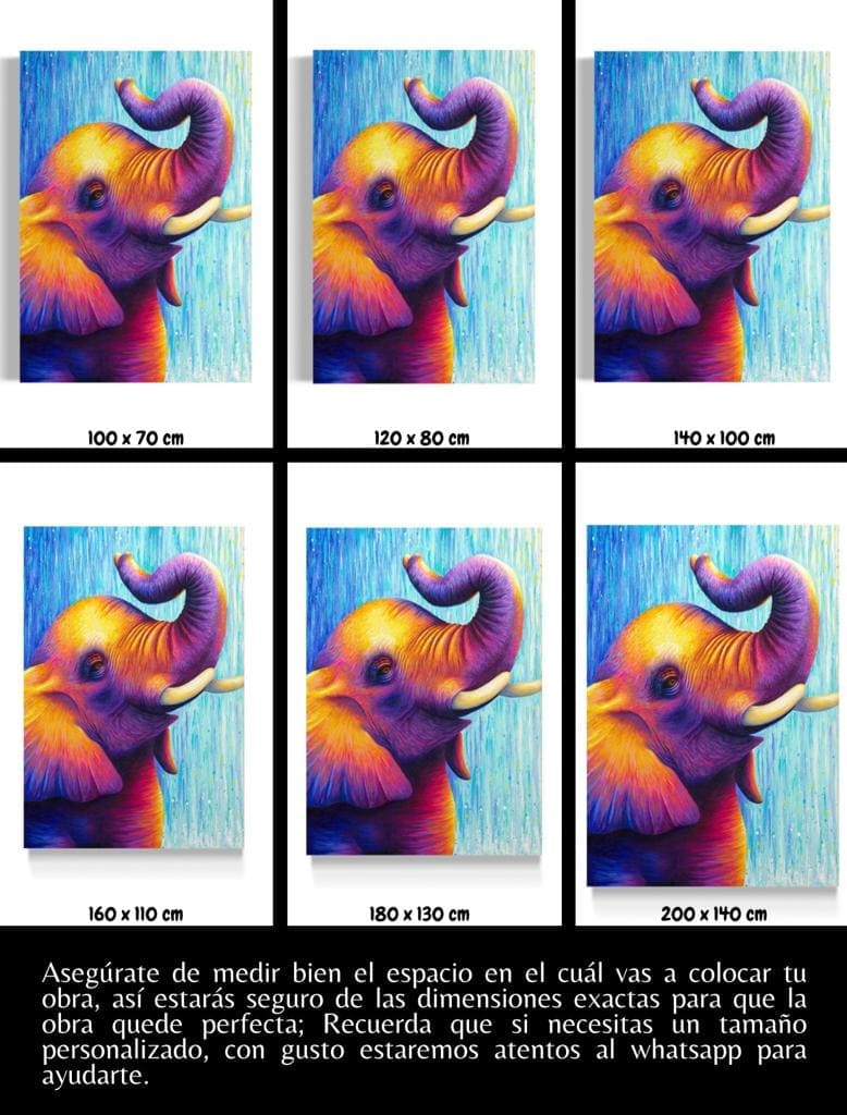 Cuadro Animales: ELEFANTE DE COLOR  5