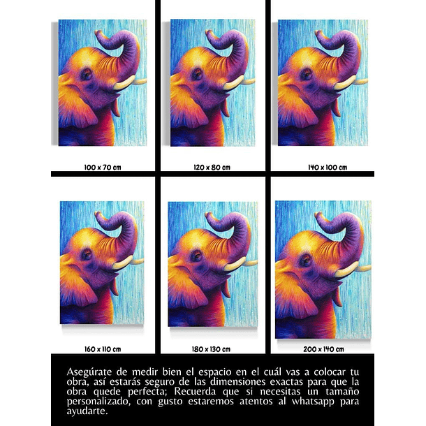 Cuadro Animales: ELEFANTE DE COLOR  5