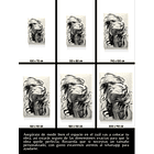 Cuadro Figura Humana: MUJER BLANCO Y NEGRO  5