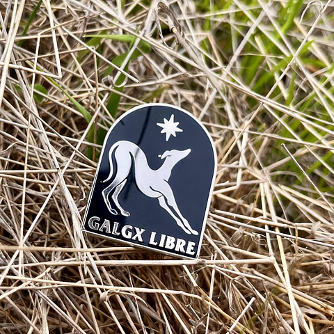 Pin Portal Galgx Libre