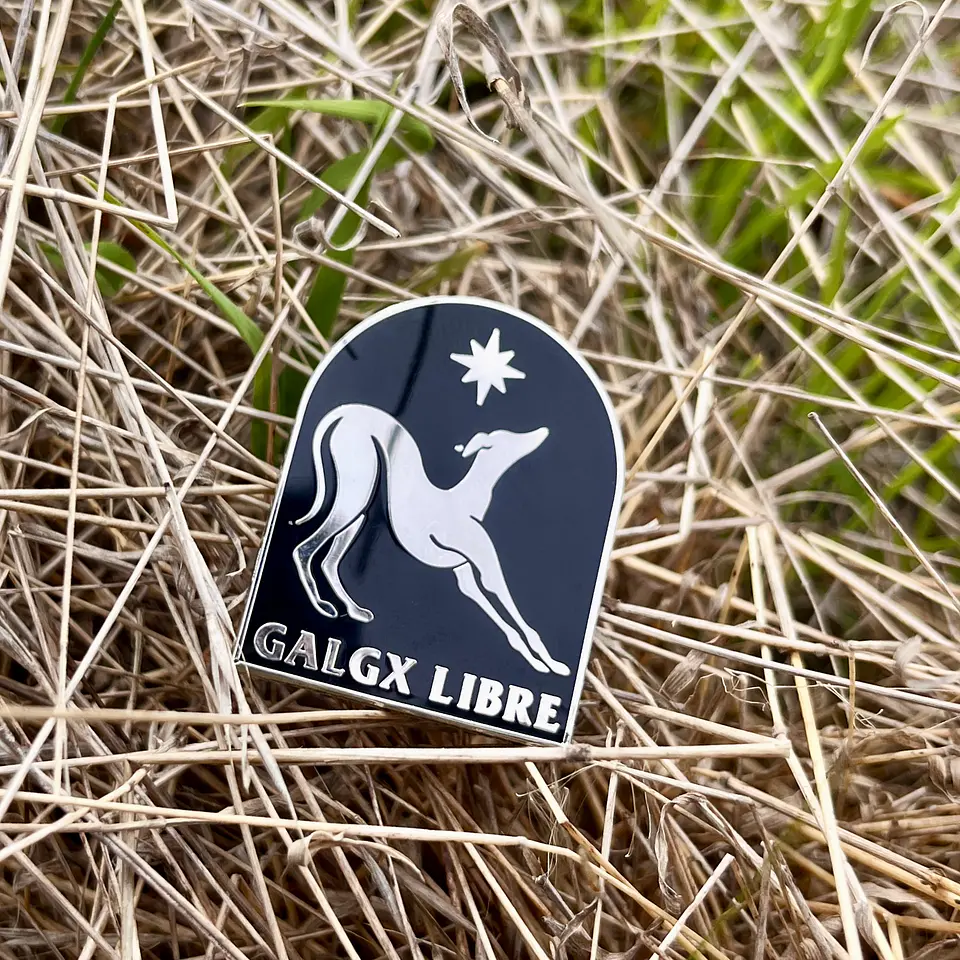 Pin Portal Galgx Libre 2