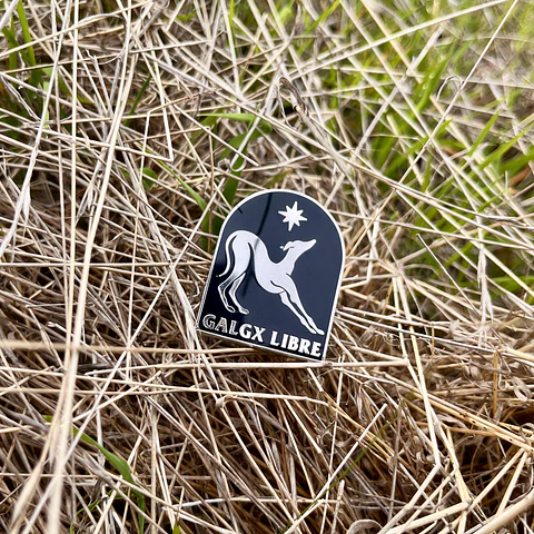 Pin Portal Galgx Libre