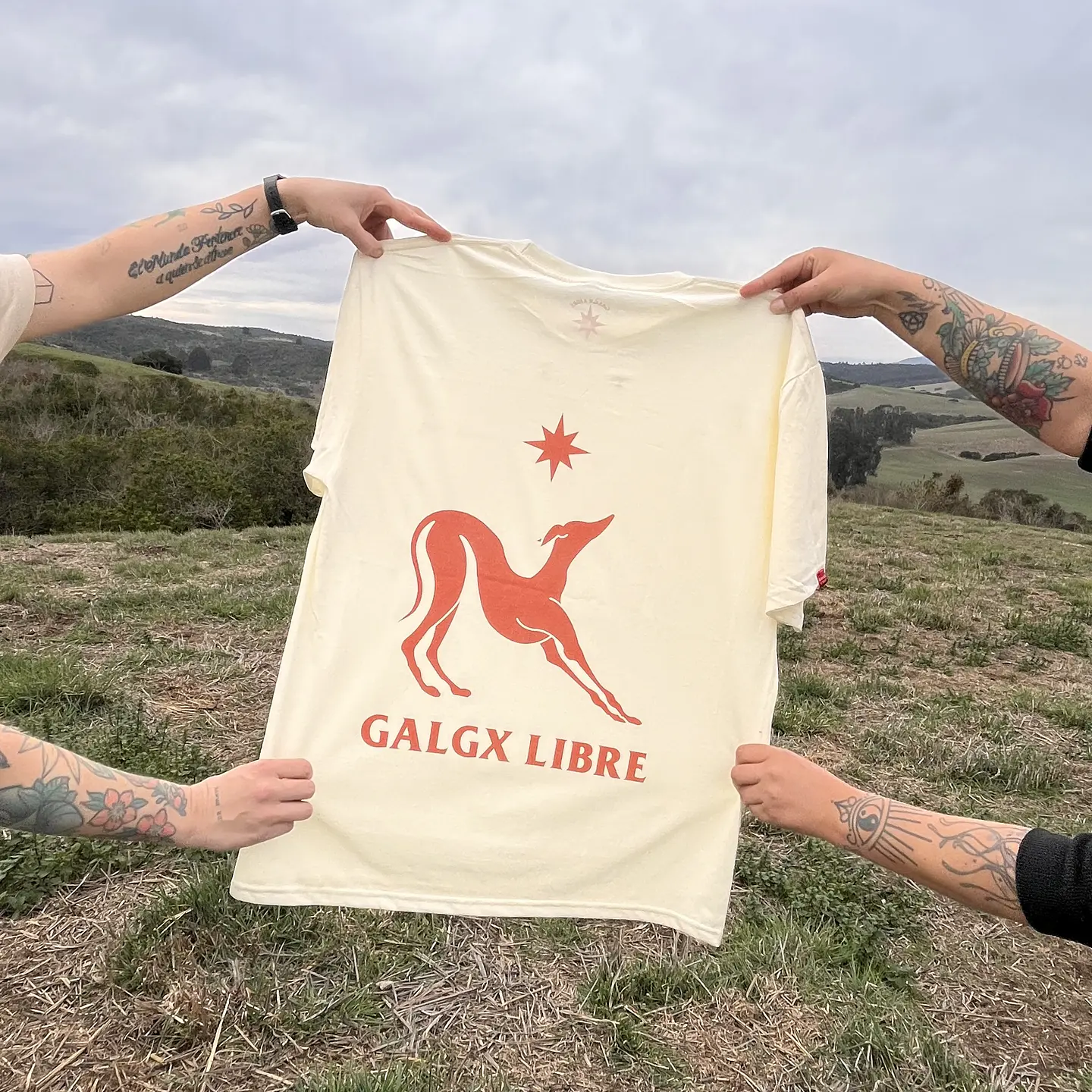 Polera 01 Galgx Libre  1