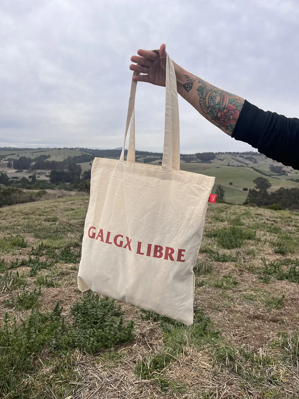 Tote Galgx Libre 1
