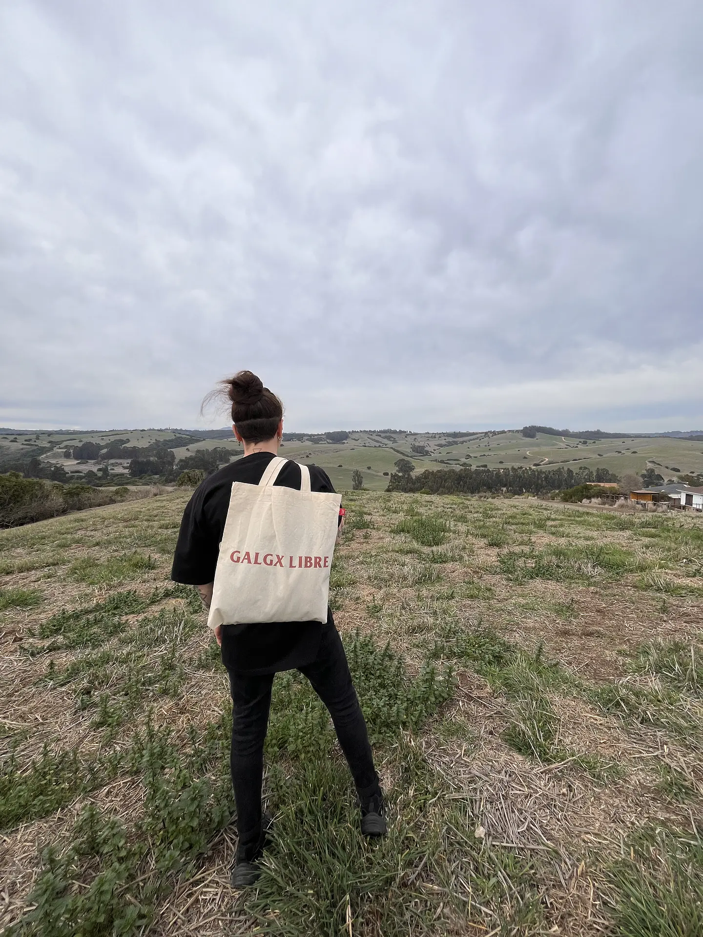 Tote Galgx Libre 2