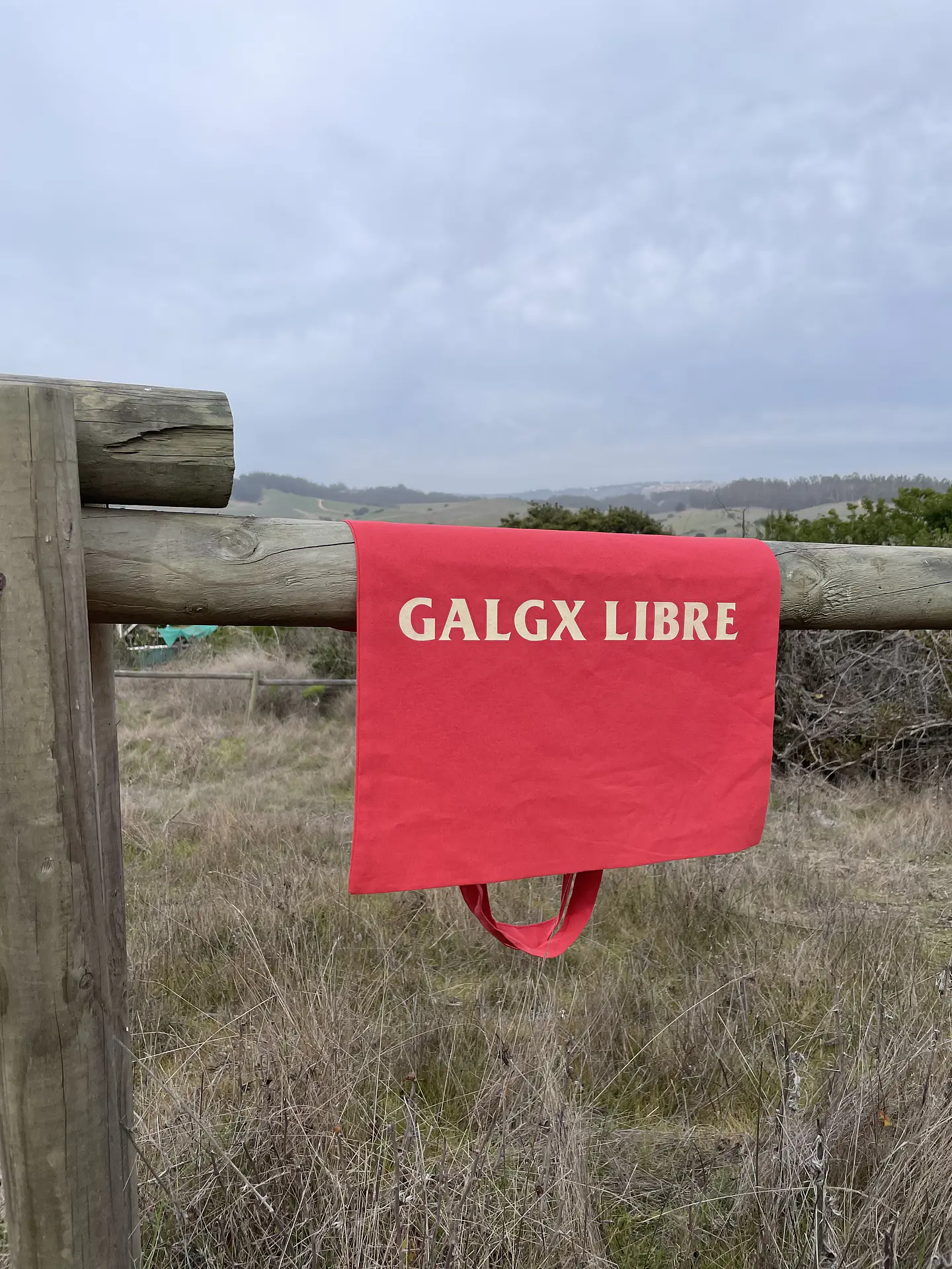 Tote Galgx Libre 3