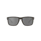 Lente Oakley Holbrook 2