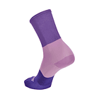 Calcetines Santini Big Bengal  3