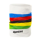 Cubre Cuello Santini UCI World  1