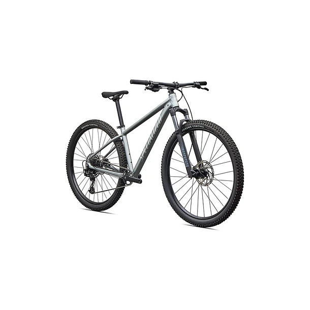 RockHopper Comp 29 - Satin Shadow Silver / Silver Dust 2