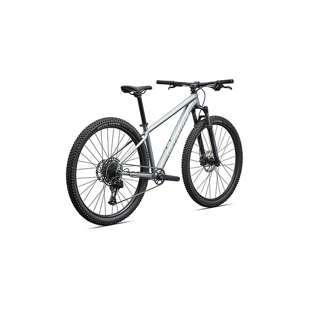 RockHopper Comp 29 - Satin Shadow Silver / Silver Dust 3