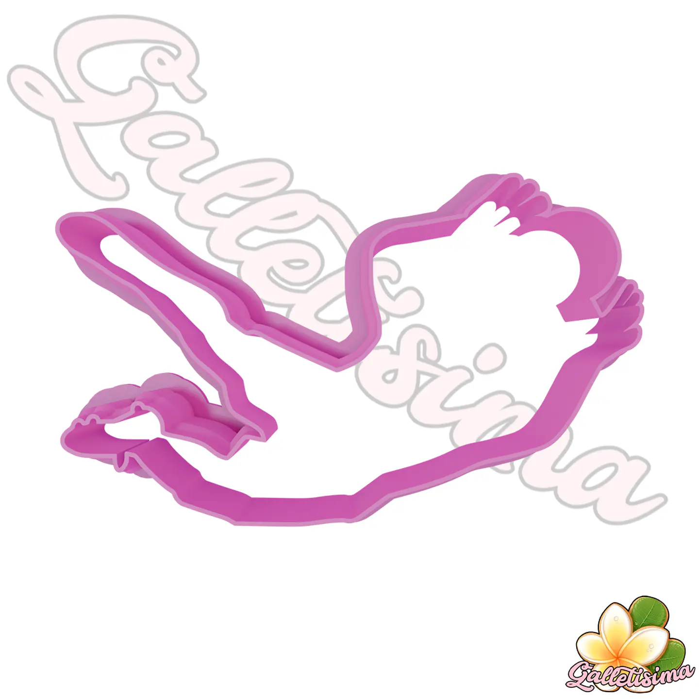Vuelo Portero 2