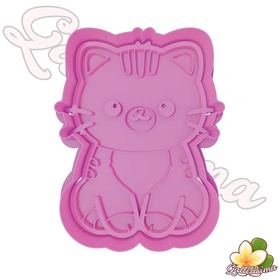 Gatito Baby 2