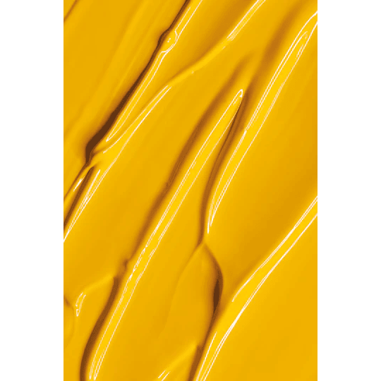 Gel Paint Andreia- Yellow 05