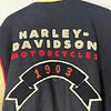 Chaqueta bomber casual marca Harley Davidson, Multicolor, talla L 1954 4
