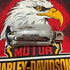Pedales Moto Marca Harley Davidson, Footpegs 1977 4