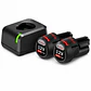 Cargador de Baterías Ion-Litio 12V máx C.C. Bosch GAL 12V-20 - Miniatura 2