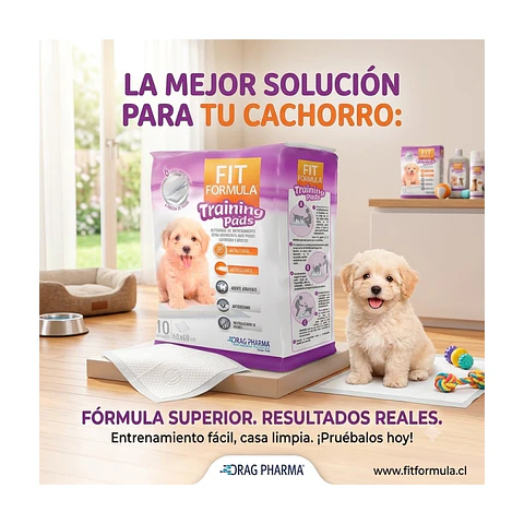 Sabanillas de Entrenamiento 10 unidades 60x60 - Fit Fórmula-