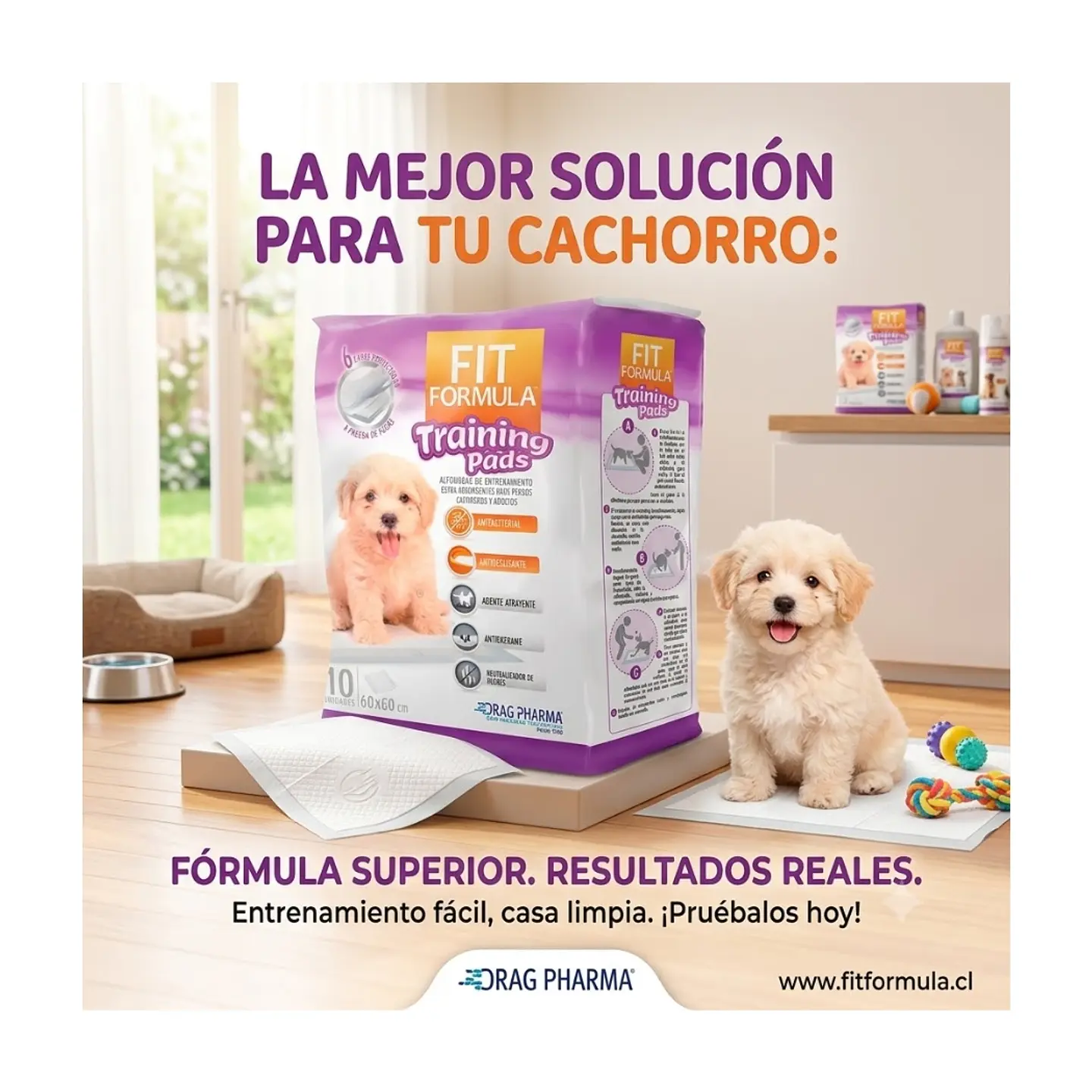Sabanillas de Entrenamiento 10 unidades 60x60 - Fit Fórmula- 2