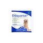 Antiparasitario Ehliquantel para Perros - Miniatura 1