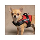 Arnés Police K9 Perro pequeño - Miniatura 6