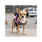Arnés Police K9 Perro pequeño - Miniatura 8