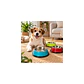 Plato Acero Inoxidable Mascotas Colores - Miniatura 3