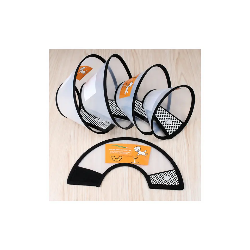 Collar Isabelino Ajustable Velcro 4