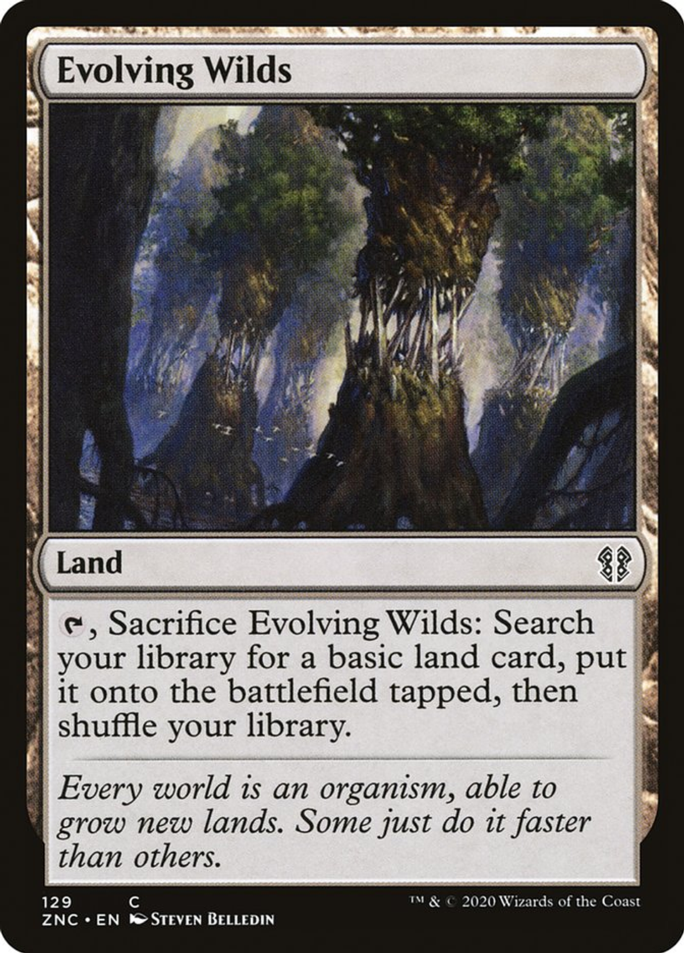 Evolving Wilds | Inglés | NM | ZNC 1
